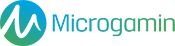 MicroGaming